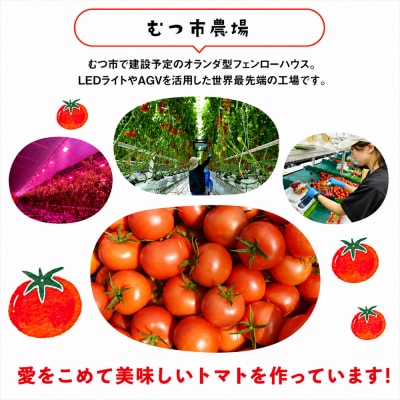 むつ市産　寅福菜園の「サステナブルトマト」訳あり2kg