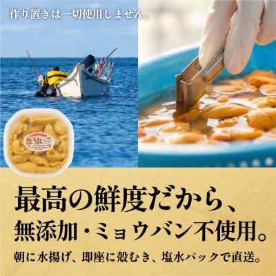 【2026年発送受付】利尻島産 天然塩水生うに85g 利尻昆布育ちの旨みウニ(85g×1)