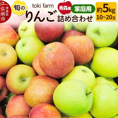 りんご 旬のりんご詰め合わせ 約5kg(12～20玉程度)家庭用|24_tkf-010501