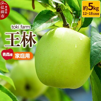 りんご 王林 約5kg(12～18玉程度)家庭用 toki farm|24_tkf-050501