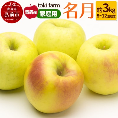 りんご 名月 約3kg(8～12玉程度)家庭用 toki farm|24_tkf-060301