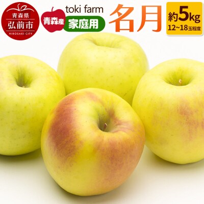 りんご 名月 約5kg(12～18玉程度)家庭用 toki farm|24_tkf-060501