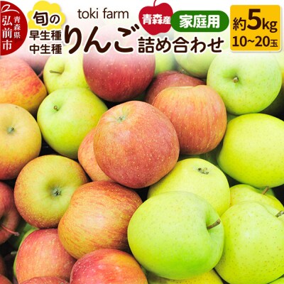 りんご 旬のりんご 早生種・中生種詰め合わせ 約5kg 家庭用|24_tkf-100501