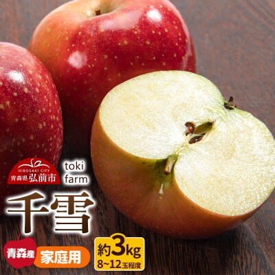 りんご 千雪 約3kg(8～12玉程度)家庭用 toki farm|24_tkf-110301