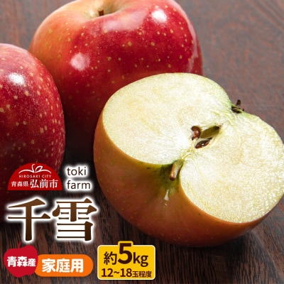 りんご 千雪 約5kg(12～18玉程度)家庭用 toki farm|24_tkf-110501