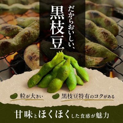 黒枝豆 200g 6パック 冷凍 枝豆 ひかり姫 大粒 蒸し焼き 急速冷凍[No5698-1104]