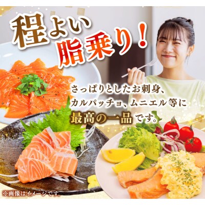 【釧路産】 くしろ 夕日 サーモン 北海道産 釧路 刺身 カルパッチョ 鮭 F4F-2817