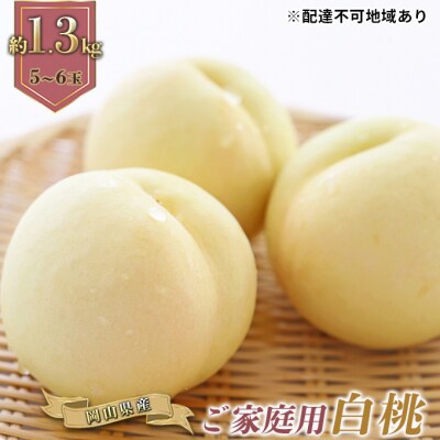 ご家庭用 岡山の 白桃 早生種 5～6玉 合計約1.3kg 岡山県産 [No.5735-0885]