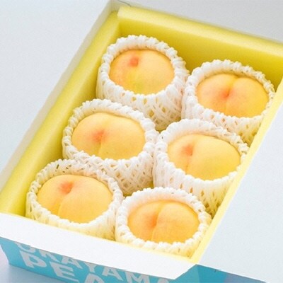 ご家庭用 岡山の 白桃 早生種 5～6玉 合計約1.3kg 岡山県産 [No.5735-0885]