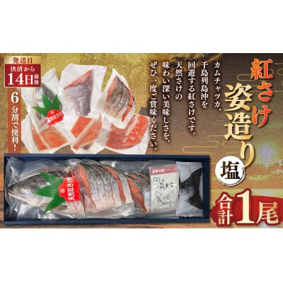 紅さけ姿造り 塩 ふるさと納税 鮭