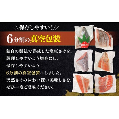 紅さけ姿造り 塩 ふるさと納税 鮭