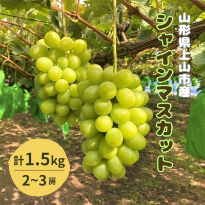 ぶどう(シャインマスカット)1.5kg　0126-2601