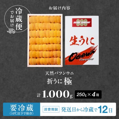 ≪プロ厳選≫最高級折うに(極)計1000g_H0014-103