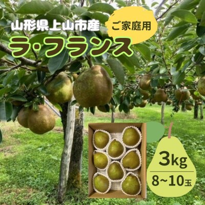 西洋梨(ラ・フランス)3kg　ご家庭用　0126-2602