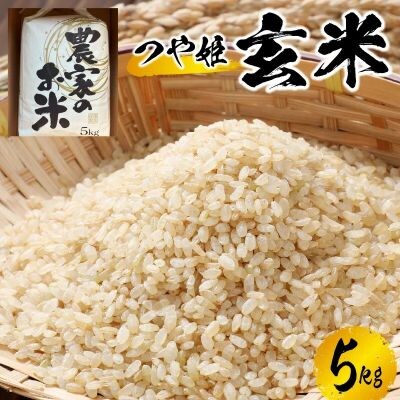【2026年11月～発送】令和8年産　つや姫(玄米)5kg　0079-2629