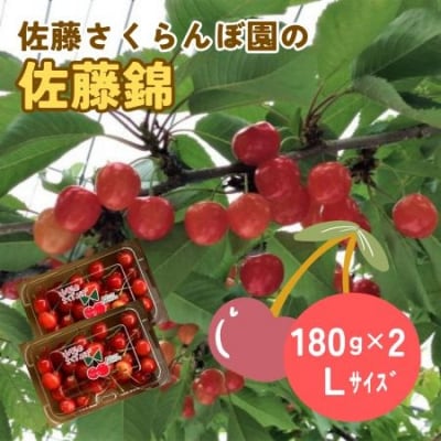 さくらんぼ(佐藤錦)360g(180g×2パック)　0069-2601