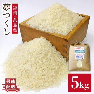 農薬使わない栽培! 糸島産 夢つくし 5kg 米 糸島市[ABB025]