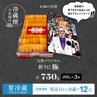 ≪プロ厳選≫最高級折うに(極)宮下あきら先生パッケージVer計750g_H0014-107