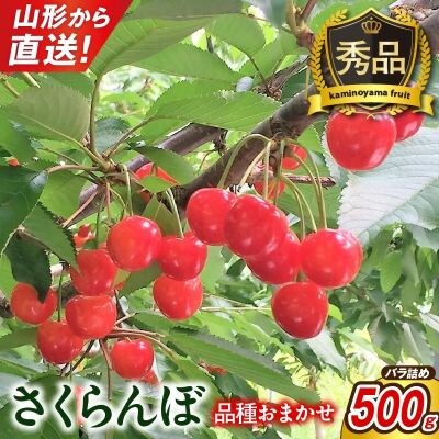 さくらんぼ(品種おまかせ)500g以上　秀品以上　0079-2607