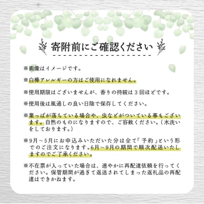 【先行受付】北海道芽室町産「白樺ヴィヒタ」2束　me055-002c-3