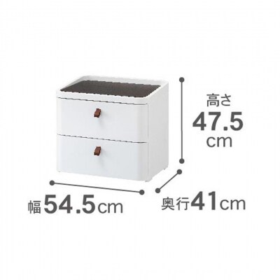 ロイヤルドロアー 542 幅54cm 2段 【025S007】