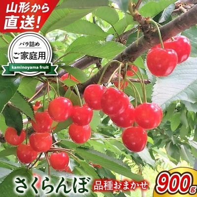 朝採りさくらんぼ(品種おまかせ)900g以上　ご家庭用　0079-2606