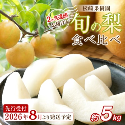 【2026年発送/先行予約】梨 2ヶ月連続お届け 旬の梨食べ比べ 約5kg【松崎果樹園】