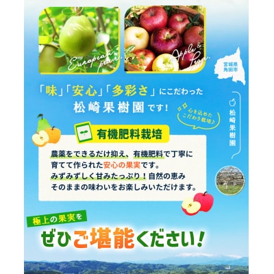 【2026年発送/先行予約】梨 2ヶ月連続お届け 旬の梨食べ比べ 約5kg【松崎果樹園】