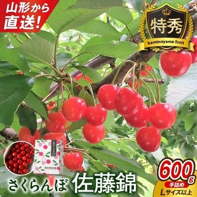さくらんぼ(佐藤錦)600g　特秀品　手詰め　0079-2604