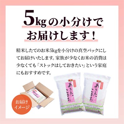【定期便】R7年産 あきたこまち 精米10kg×3ヶ月【大里恒三商店】