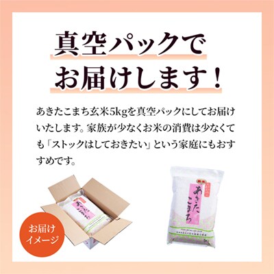 【定期便】R7年産 あきたこまち 玄米5kg×3ヶ月【大里恒三商店】
