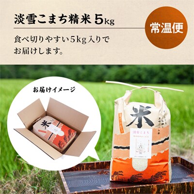 【定期便】R7年産 淡雪こまち 精米5kg×3か月【おらほの市場】