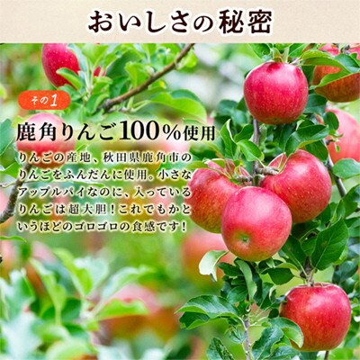 アップルパイ『極』18cmホール【レディースファーム】