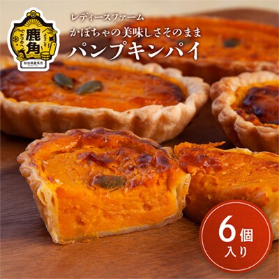 パンプキンパイ 6個入 【レディースファーム】