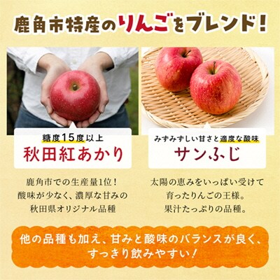 【定期便6ヵ月】かづの林檎ジュース(195ml×30缶)【恋する鹿角カンパニー】