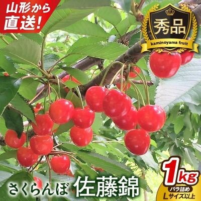 さくらんぼ(佐藤錦)1kg以上　Lサイズ以上　秀品　0079-2602