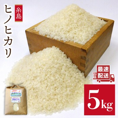 農薬使わない栽培 ! 糸島産ヒノヒカリ 5kg、 玄米食・分搗き対応![ABB005]
