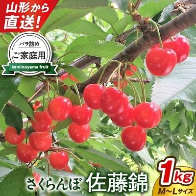さくらんぼ(佐藤錦)1kg　ご家庭用　0079-2601