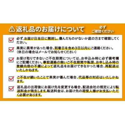 愛南ゴールド ( 河内晩柑 ) 8kg 愛南町 青果市場 なくなり次第終了