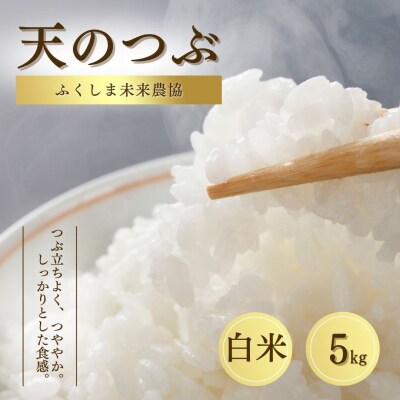 白米 5kg 天のつぶ 令和7年産 | 精米 米5kg コメ お米 米 大粒 ふくしま未来農協 JA