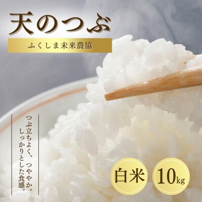 白米 10kg 天のつぶ 令和7年産 | 精米 米5kg コメ お米 米 大粒 ふくしま未来農協