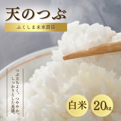 白米 20kg 天のつぶ 令和7年産 | 精米 米5kg コメ お米 米 大粒 ふくしま未来農協