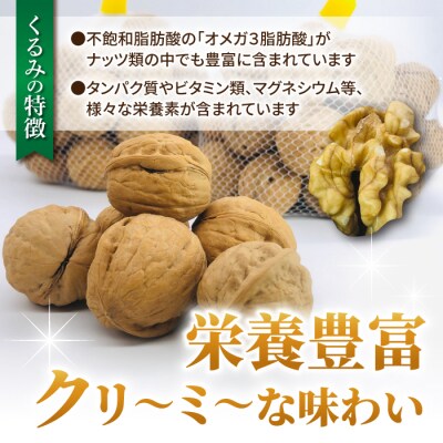 【アルファーム】令和7年産信濃くるみ　殻付きタイプ(Lサイズ)※2025年11月下旬以降発送