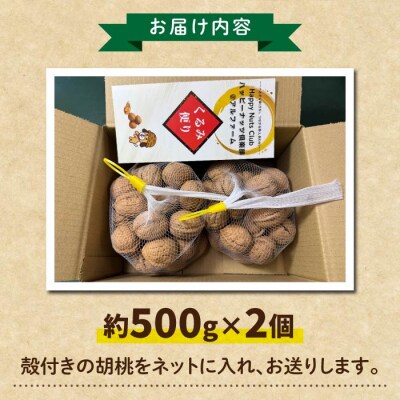 【アルファーム】令和7年産信濃くるみ　殻付きタイプ(Lサイズ)※2025年11月下旬以降発送
