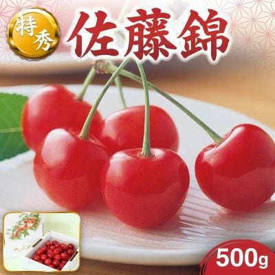 さくらんぼ(佐藤錦)500g　特秀品　0021-2601