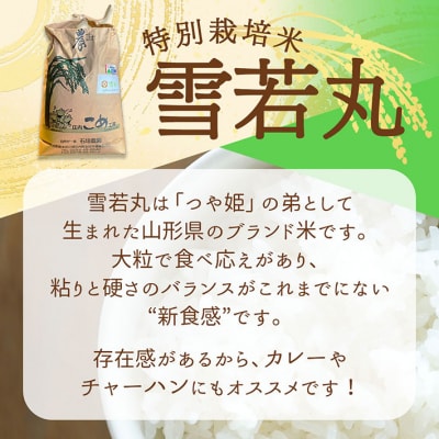【新米受付】石垣農園の特別栽培米 雪若丸 10kg【10月より順次発送】