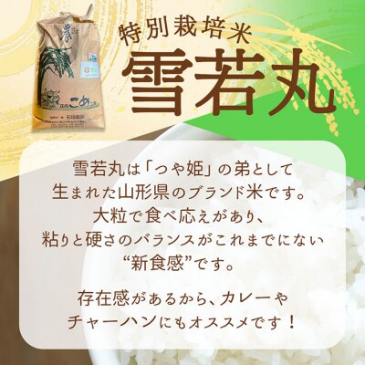 【新米受付】石垣農園の特別栽培米 雪若丸 5kg【10月より順次発送】