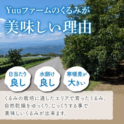 殻付き信濃くるみ 700g(品種 清香 350g、品種 東晃 350g)|2026年産 長野県東御市