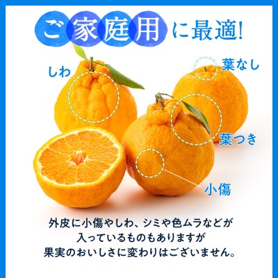 農家直送の不知火/約3kg(2027年2月発送予定).AB503