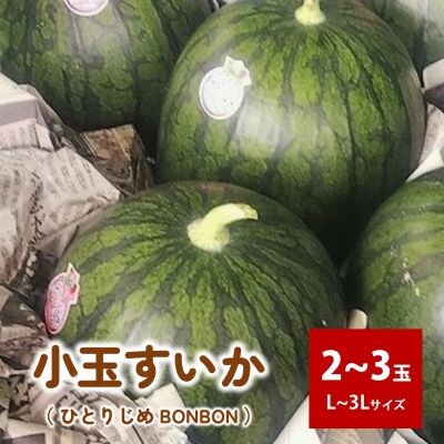 小玉すいか(ひとりじめBONBON)2～3玉　0011-2602